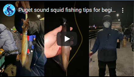 Squid fishing tips for beginners
